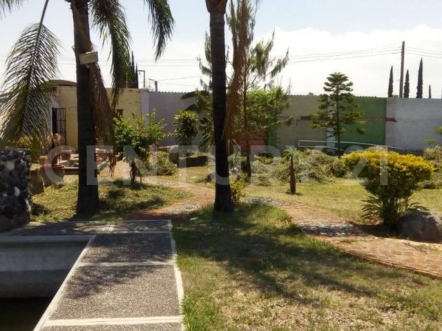 place photo 33