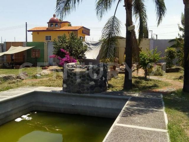 place photo 9