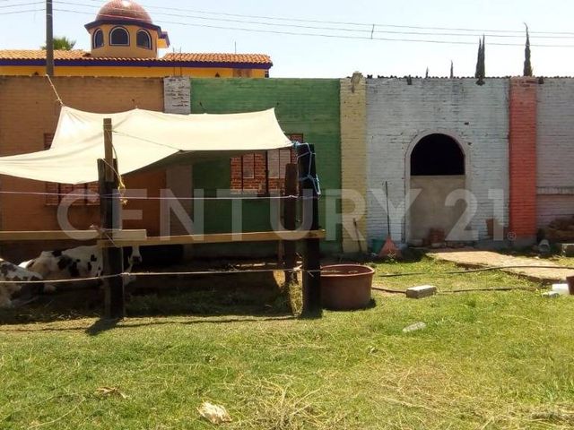 place photo 36