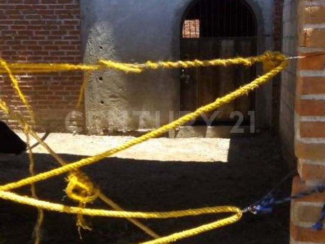 place photo 37