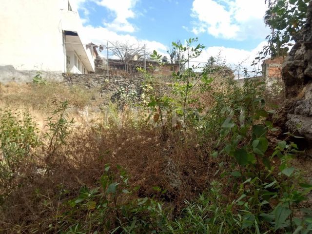 place photo 36