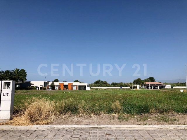 place photo 26