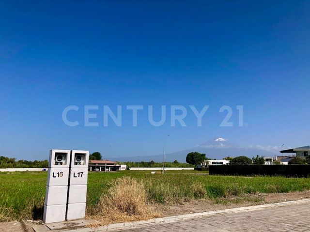 place photo 29