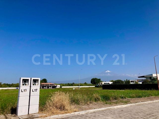 place photo 28