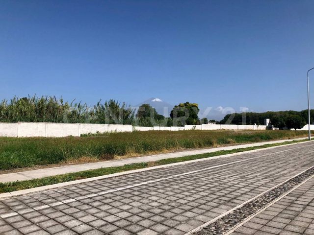 place photo 23
