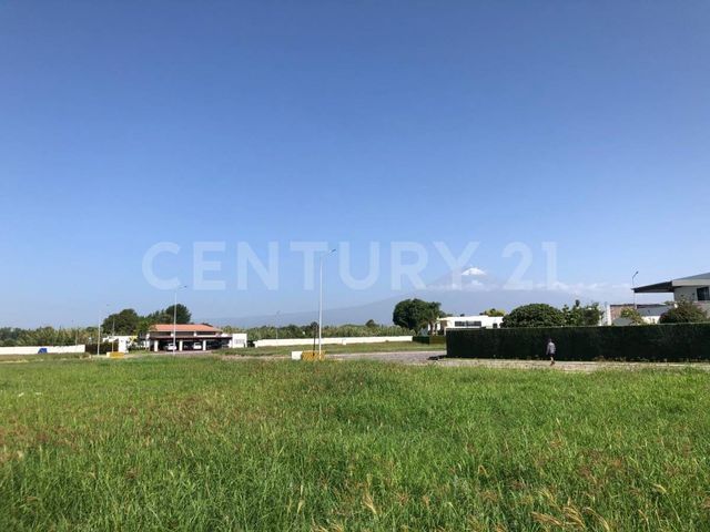 place photo 30