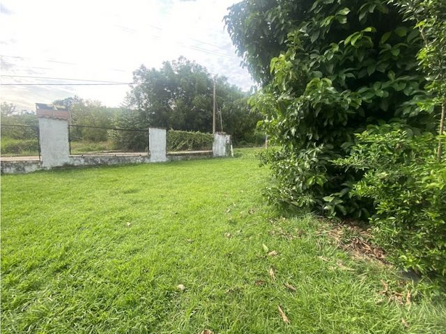 place photo 38