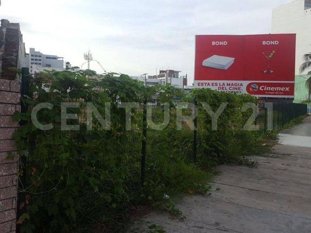 place photo 15