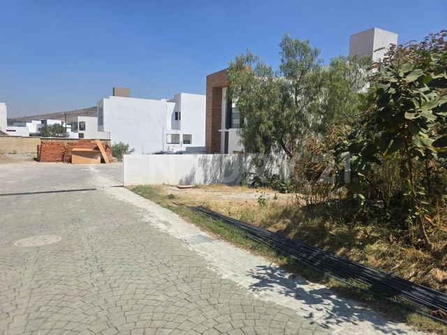 place photo 21