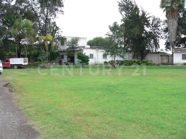 place photo 20