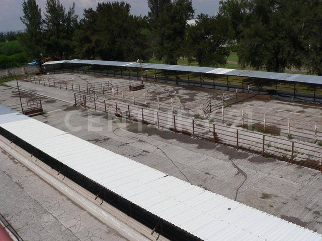 place photo 32