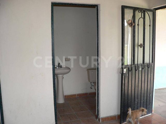 place photo 26