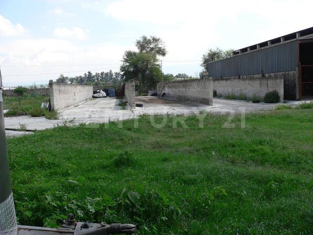place photo 29