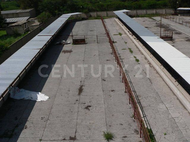 place photo 31
