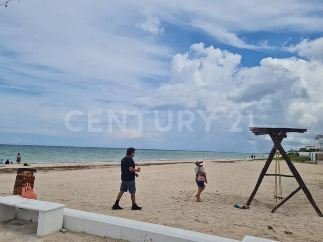 place photo 21