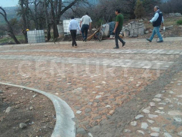 place photo 20