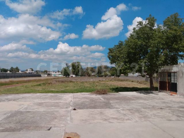 place photo 24