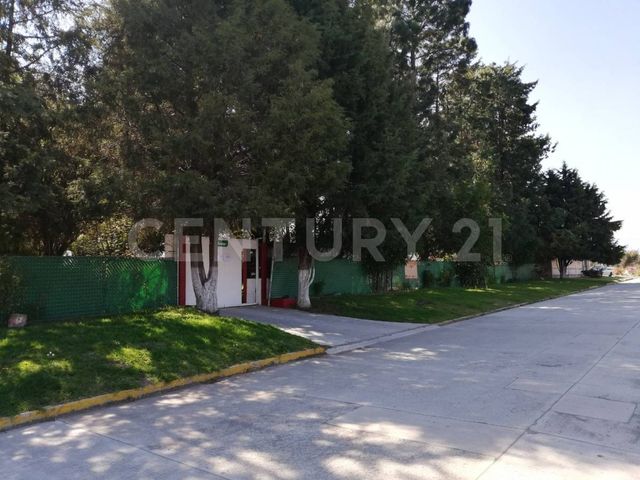 place photo 36