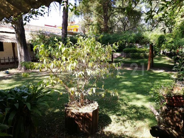 place photo 27