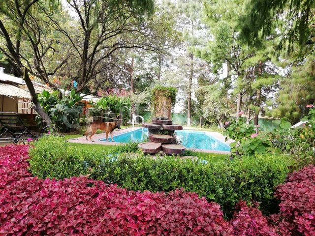 place photo 48