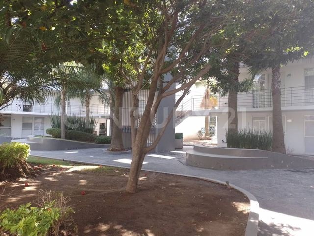 place photo 23