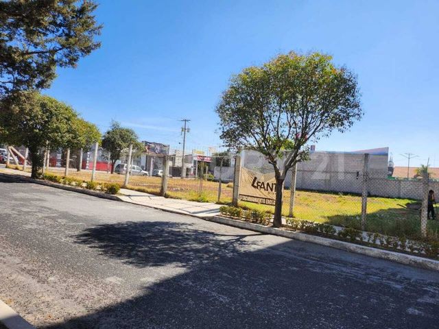 place photo 11
