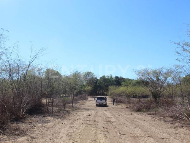 place photo 19