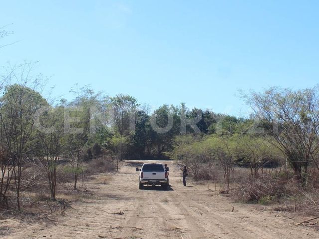 place photo 22