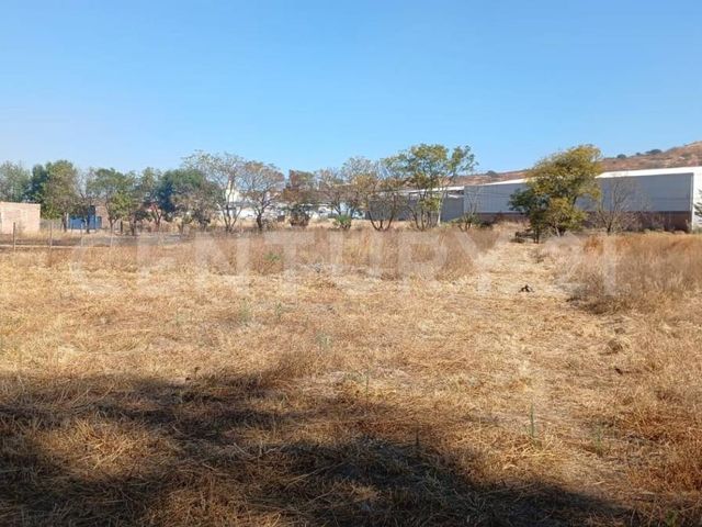 place photo 5