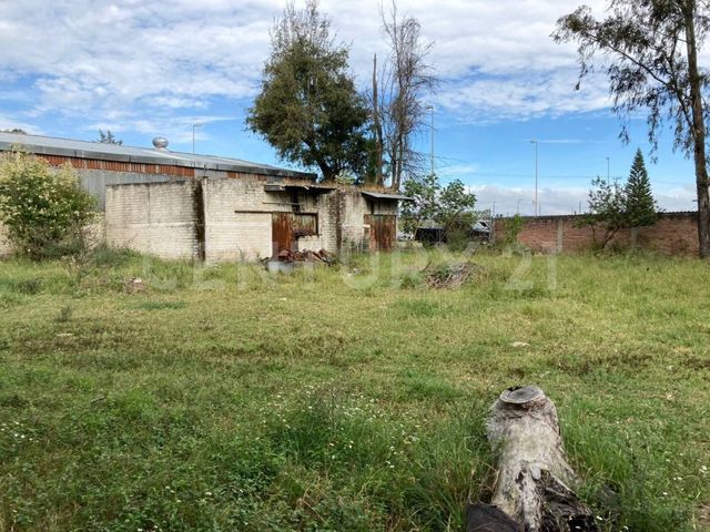 place photo 27