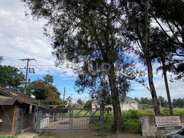 place photo 23