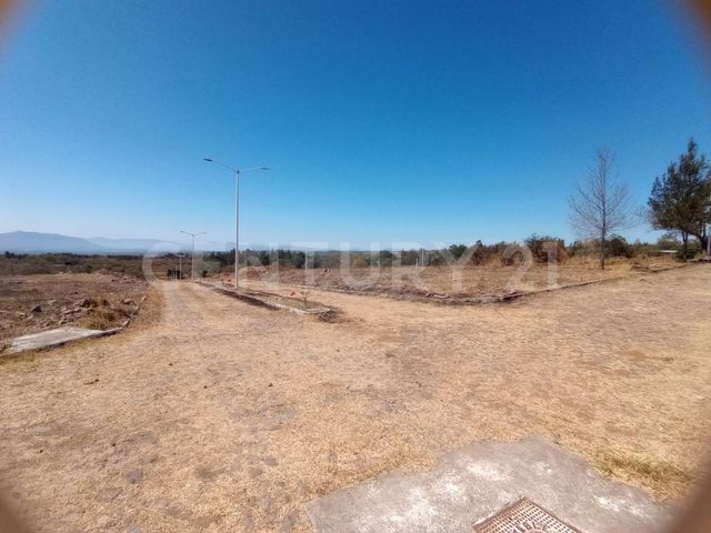 place photo 25