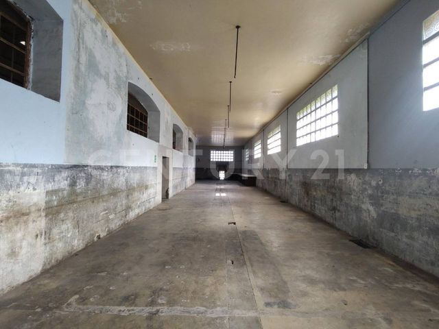 place photo 55