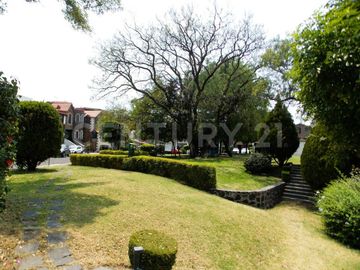 place photo 36