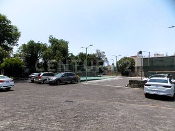 place photo 38