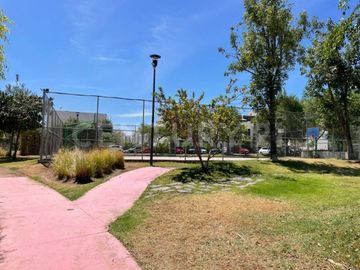 place photo 24