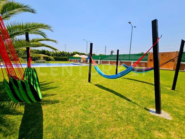 place photo 33