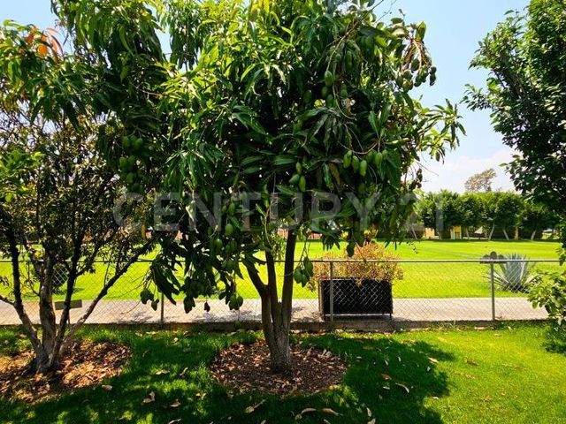 place photo 40