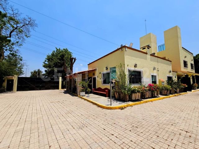 place photo 16