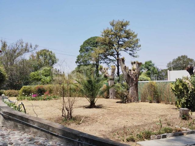 place photo 70