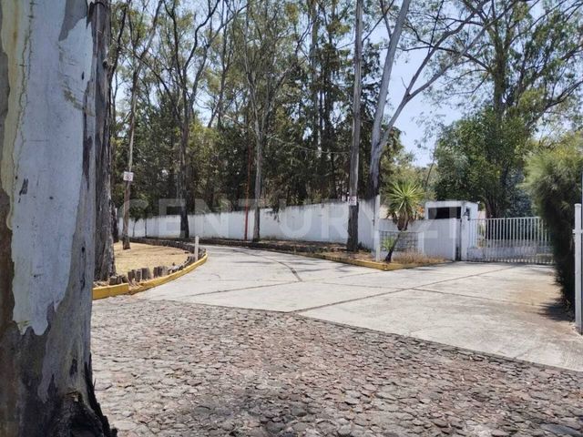 place photo 62