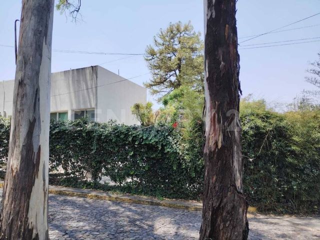 place photo 64