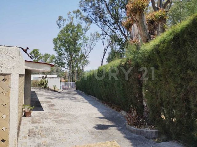 place photo 68