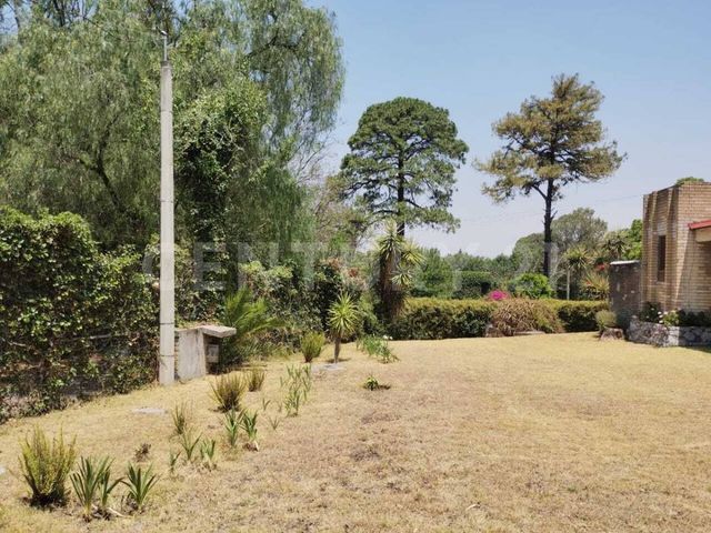 place photo 67