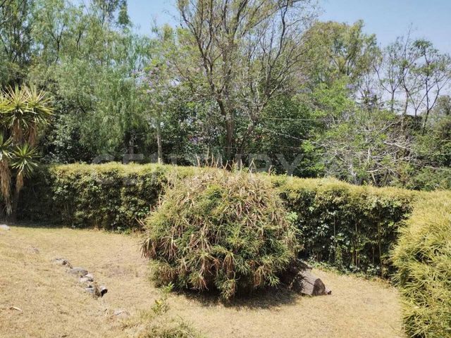 place photo 65