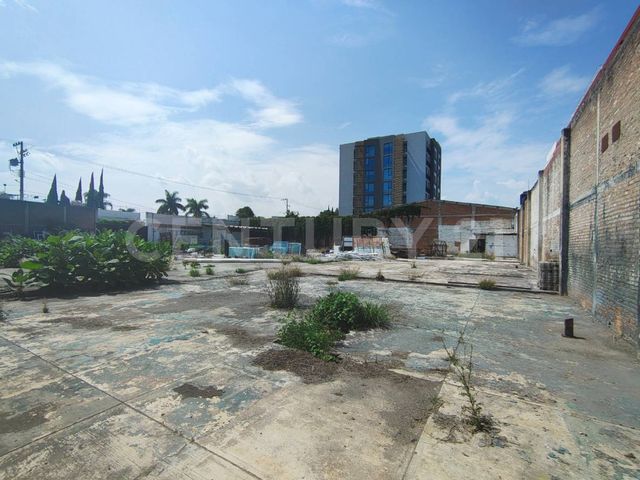 place photo 12