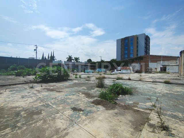place photo 11