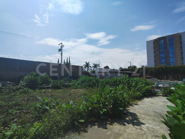 place photo 15