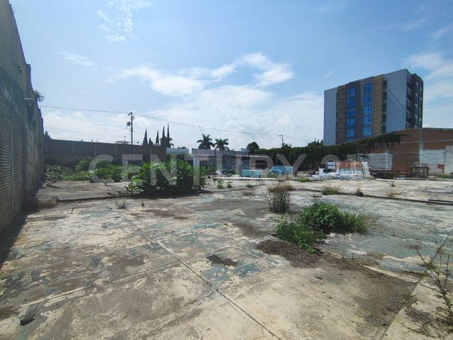 place photo 13