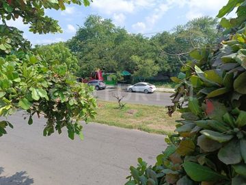 place photo 71